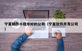 南通宁夏制作小程序好的公司（宁夏软件开发公司）
